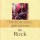 Livre : Dictionnaire amoureux du rock – Antoine de Caunes
