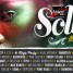 Solidays 2013 : 15 ans de lutte en musique