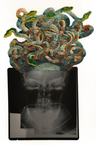 Medusa_web_0