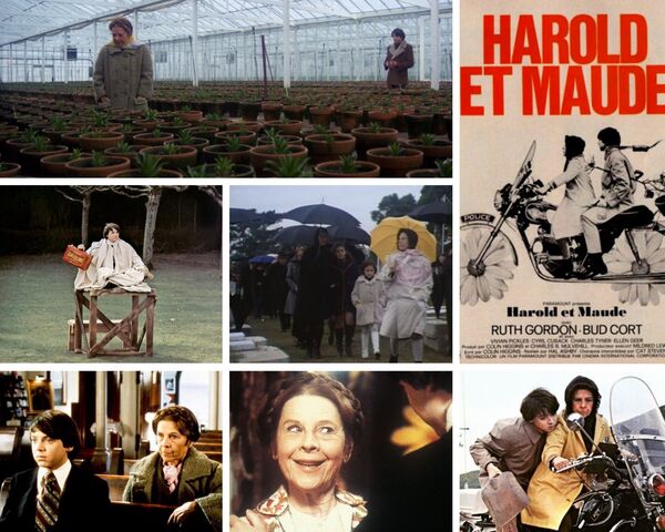 film Harold et Maude
