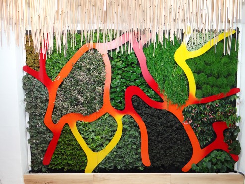 mur-vegetal-design