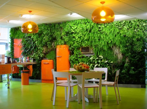 mur-vegetal1