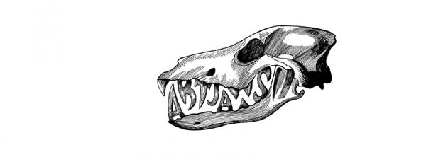 ArtJaws : collecter à belles dents …
