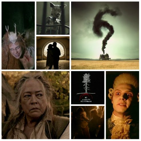 ahs-6