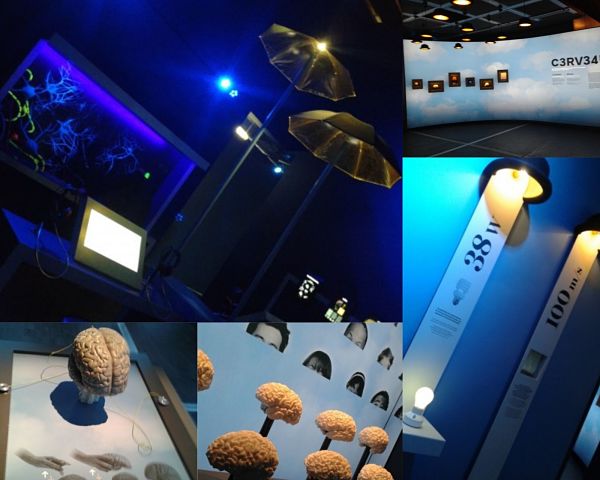 vues de l'exposition permanente Cerveau à la oté des sciences de la Villette