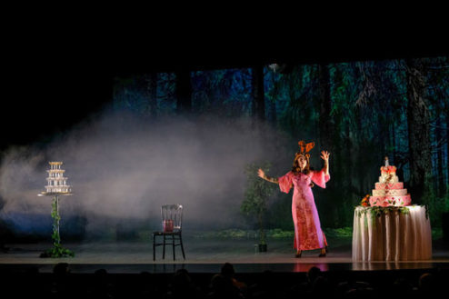 Florence Muller dans la pièce de théâtre "Emportée par mon élan"