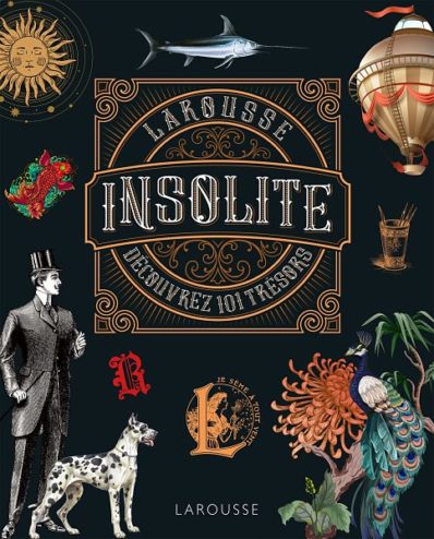 Couverture du Larousse insolite