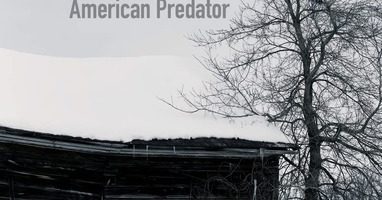 couverture du livre American Predator