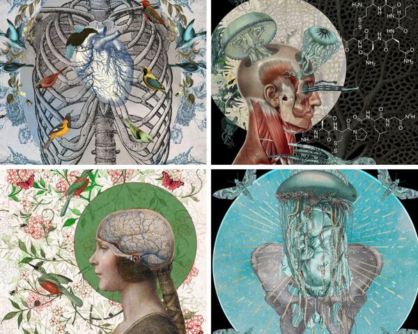 collages anatomiques de Forms Most Beautiful