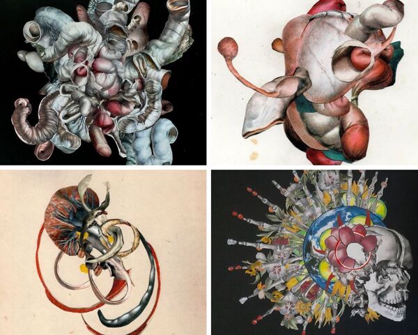 collages anatomiques de Axelle Kieffer