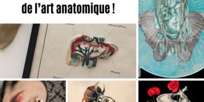 gros plans sur quelques talents de l'art anatomique