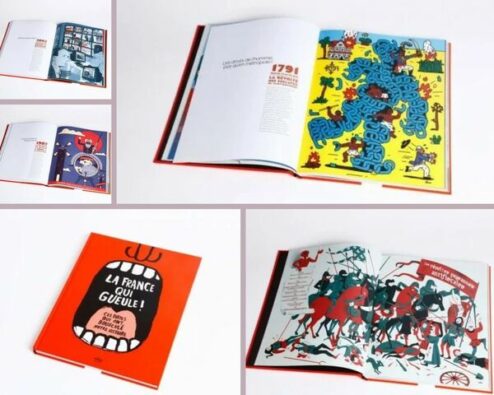 couverture et illustration du livre La france qui gueule