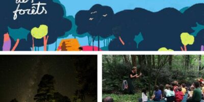 affiche et photos de l'édition 2023 des Nuits des forêts