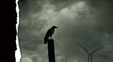 couverture du roman le vent apportera la mort