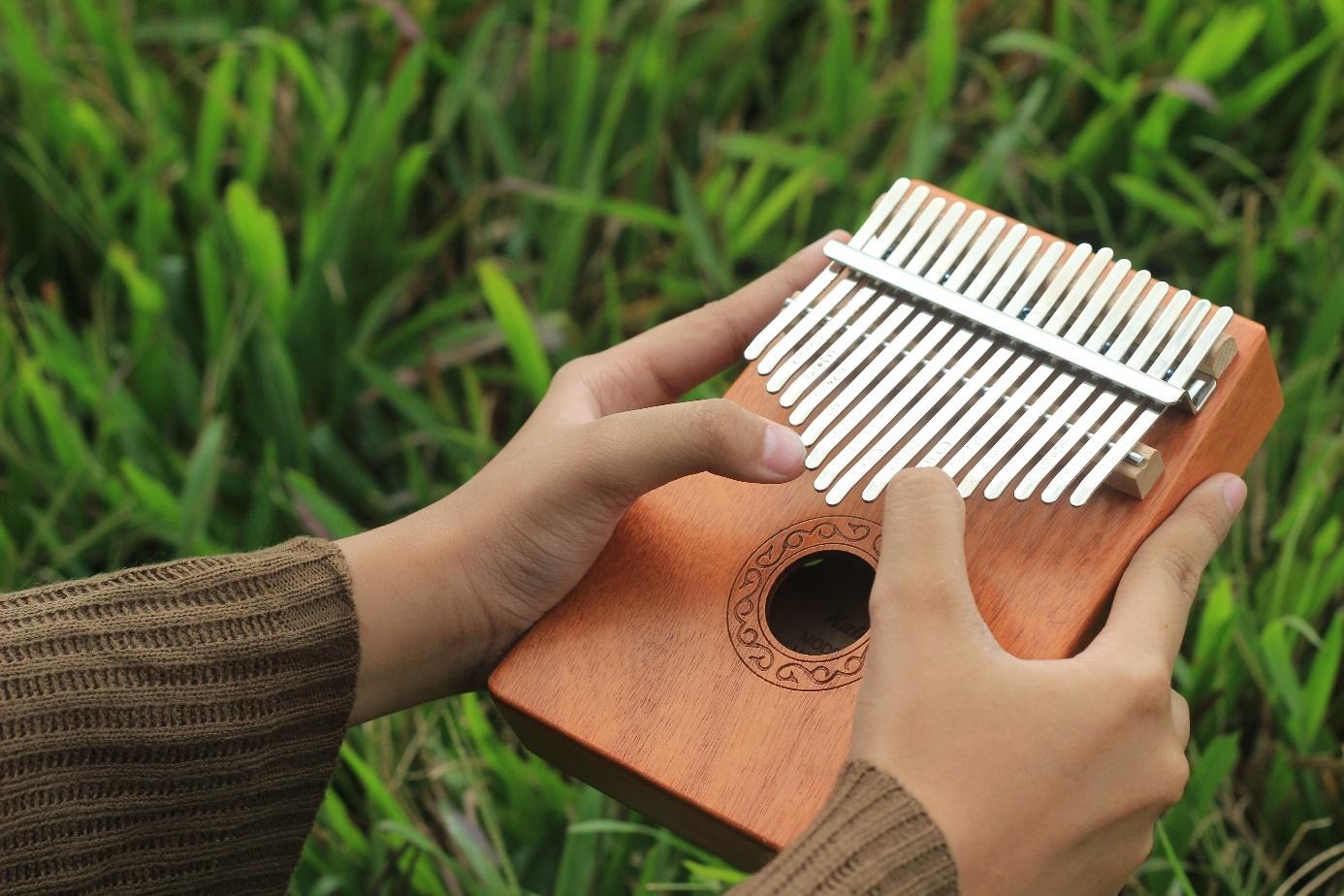 Quels artistes jouent du Kalimba ?