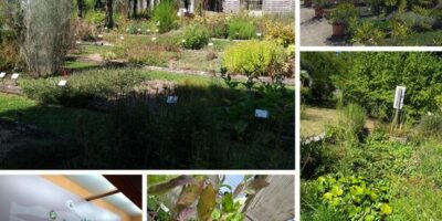 vues du conservatoire des plantes de milly la forêt