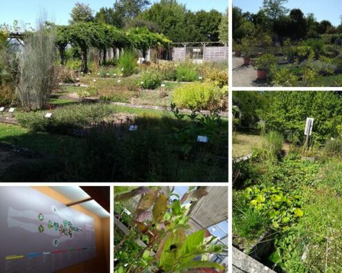 vues du conservatoire des plantes de milly la forêt
