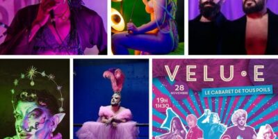 artistes participant à la velu.e de novembre 2024