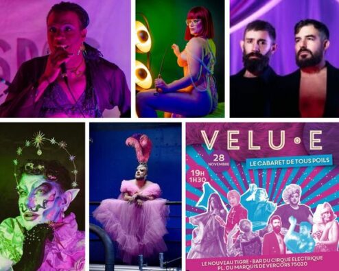 artistes participant à la velu.e de novembre 2024