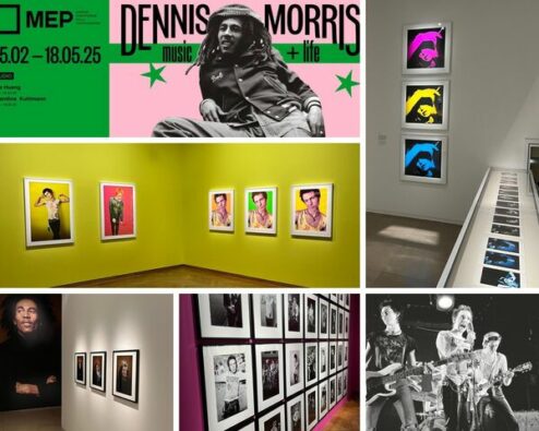 différentes vues de l'expo dennis morris à la MEP