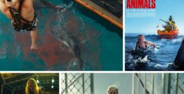 Dangerous Animals : le requin comme kit de meurtre