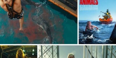 différentes scènes du film Dangerous animals