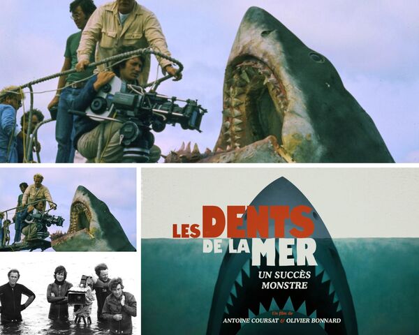 différentes scènes du documentaire les dents de la mer un succès monstre