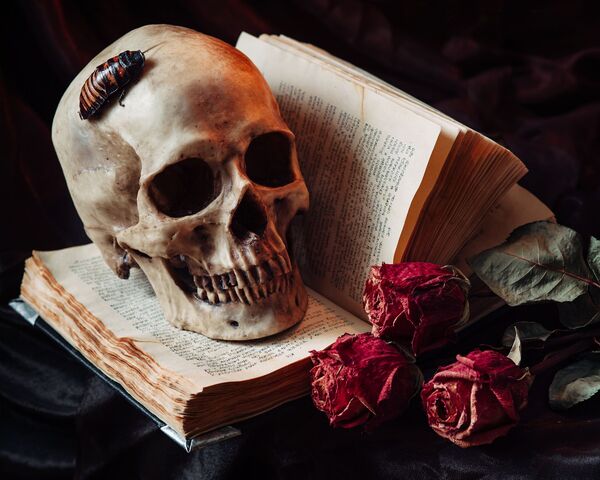 littérature gothique