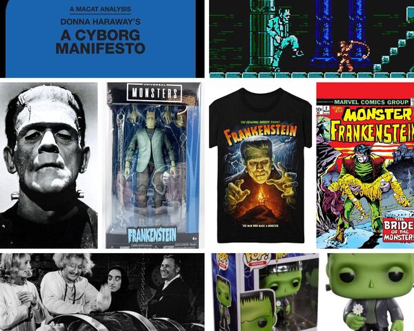 déclinaisons artistiques et marketing du mythe de frankenstein