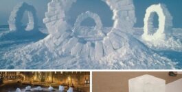 Goldsworthy, Eliasson, Hein : gros plan sur les métamorphoses de la glace