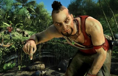 Article Vaas