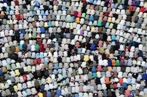 La Confrérie Enquête Sur Les Frères Musulmans