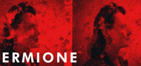 Intermezzo Lyon TCE Bolleire Ermione Rossini 750x350