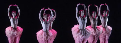 Tutu Bannière