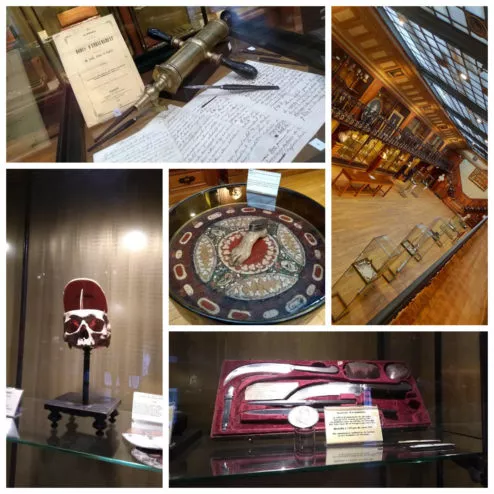 Musée Histoire Médecine