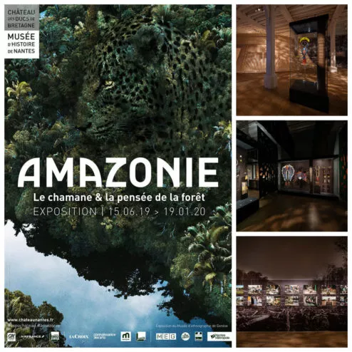 Amazonie
